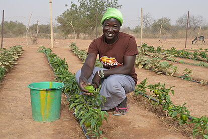 Nahrungsmittelhilfe für Flüchtlinge in Burkina Faso Gemüseanbau in Burkina Faso gegen Mangelernährung