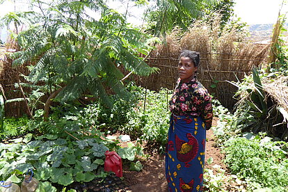 Frauen lernen, Gemüse und Obst im Hausgarten anzupflanzen Eine Frau in Malawi lernt, Gemüse und Obst im Hausgarten anzupflanzen