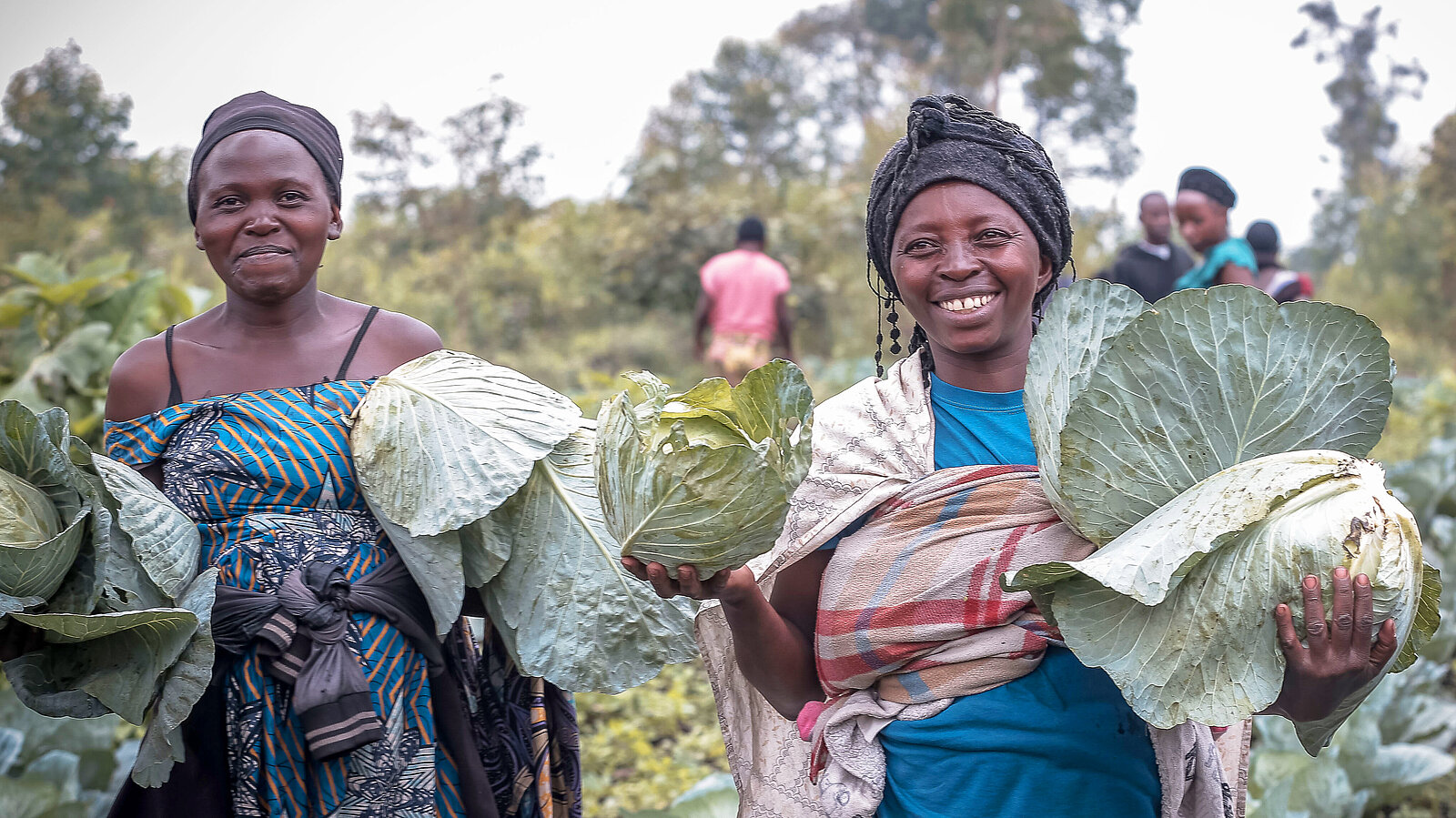 Frauen im Flüchtlingslager im Ostkongo ernten ihr eigenes Gemüse.